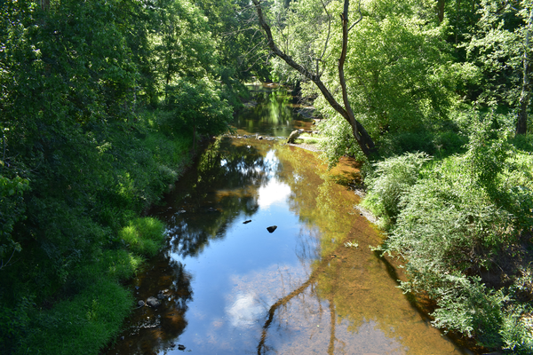 Image of Eno River in Hillsborough